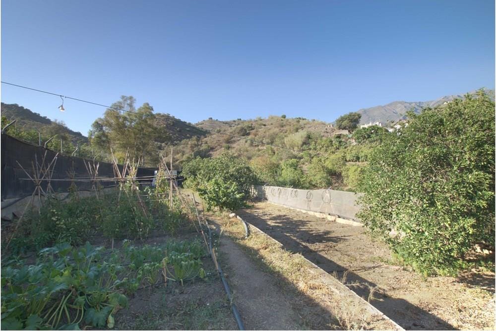 VIVIENDA EN CANILLA DE ACEITUNO, BARRIADA DE RIO BERMEZA