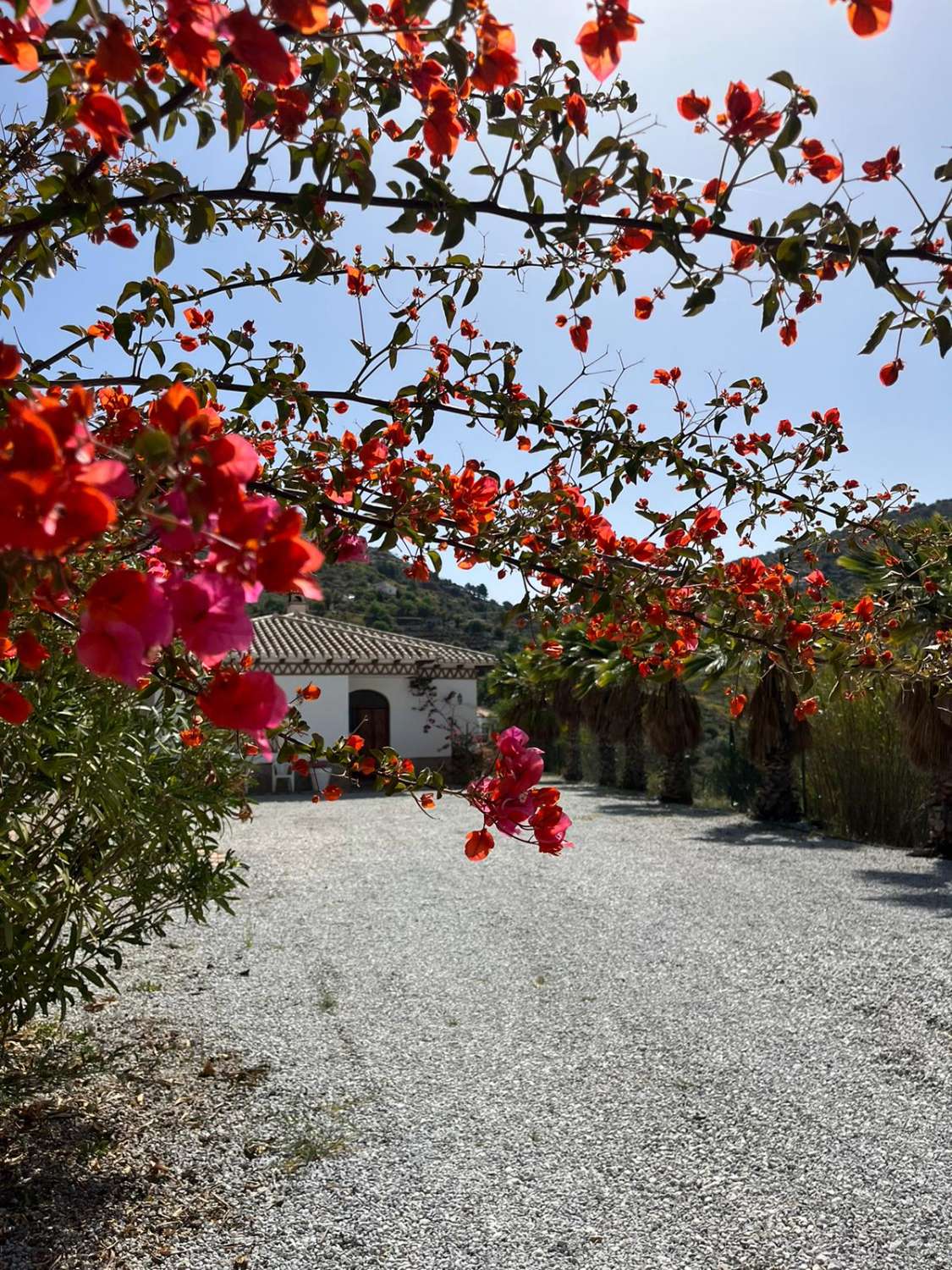 Villa con 3 camere da letto, con piscina privata, a Monte Alegre a pagamento