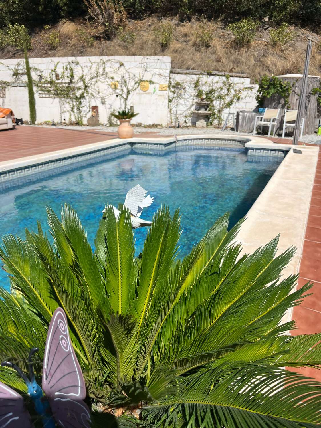 Chalet  3 dormitorios ,con piscina privada , en pago Monte Alegre